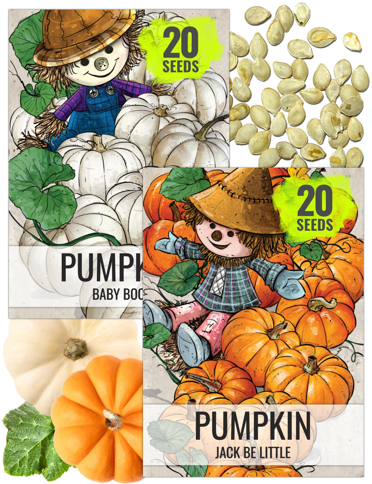 Seed Needs Jack Be Little pumpkin seeds packaging with sowing tips for easy planting