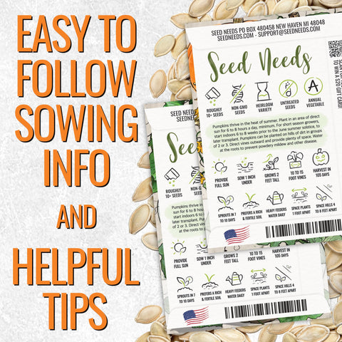 Seed Needs Jack Be Little pumpkins for tabletop accents