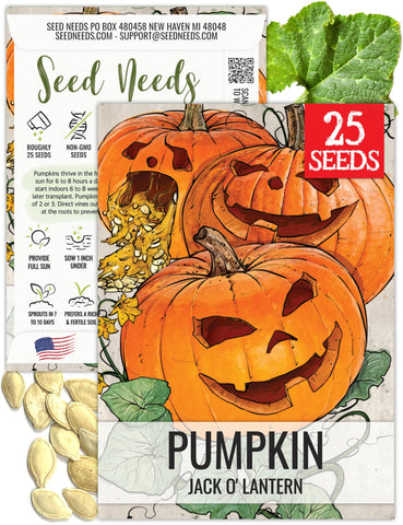Seed Needs jack o' lantern pumpkin seeds packet front for easy planting