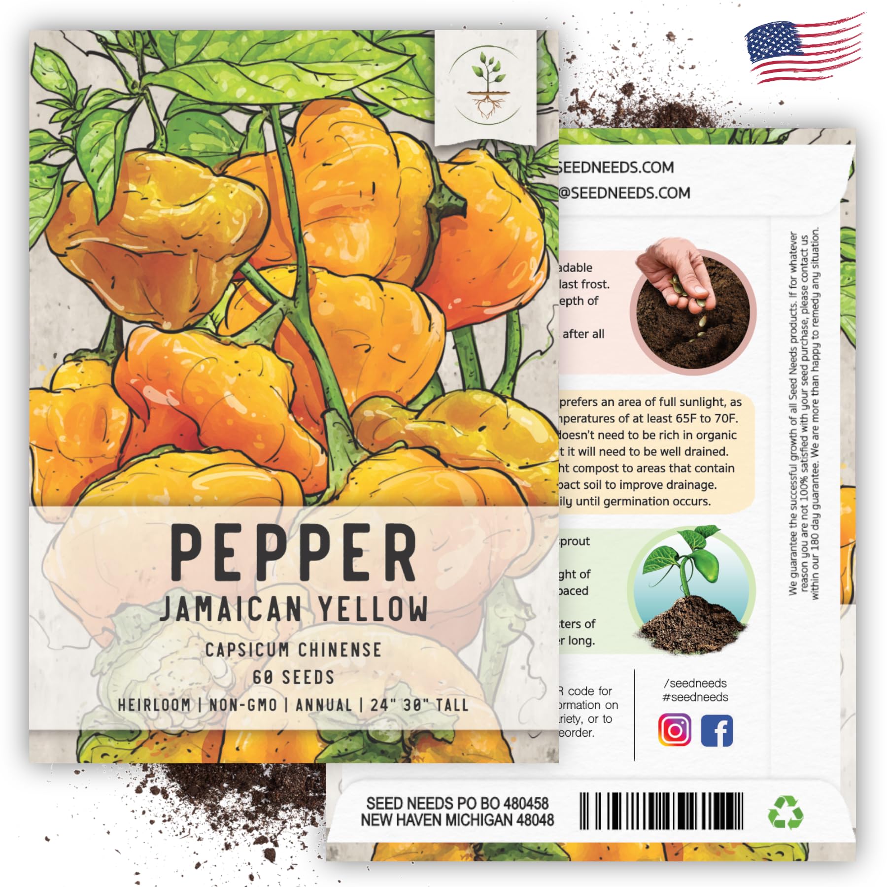 Seed Needs Jamaican Yellow Chili seeds packet artwork for variety identification