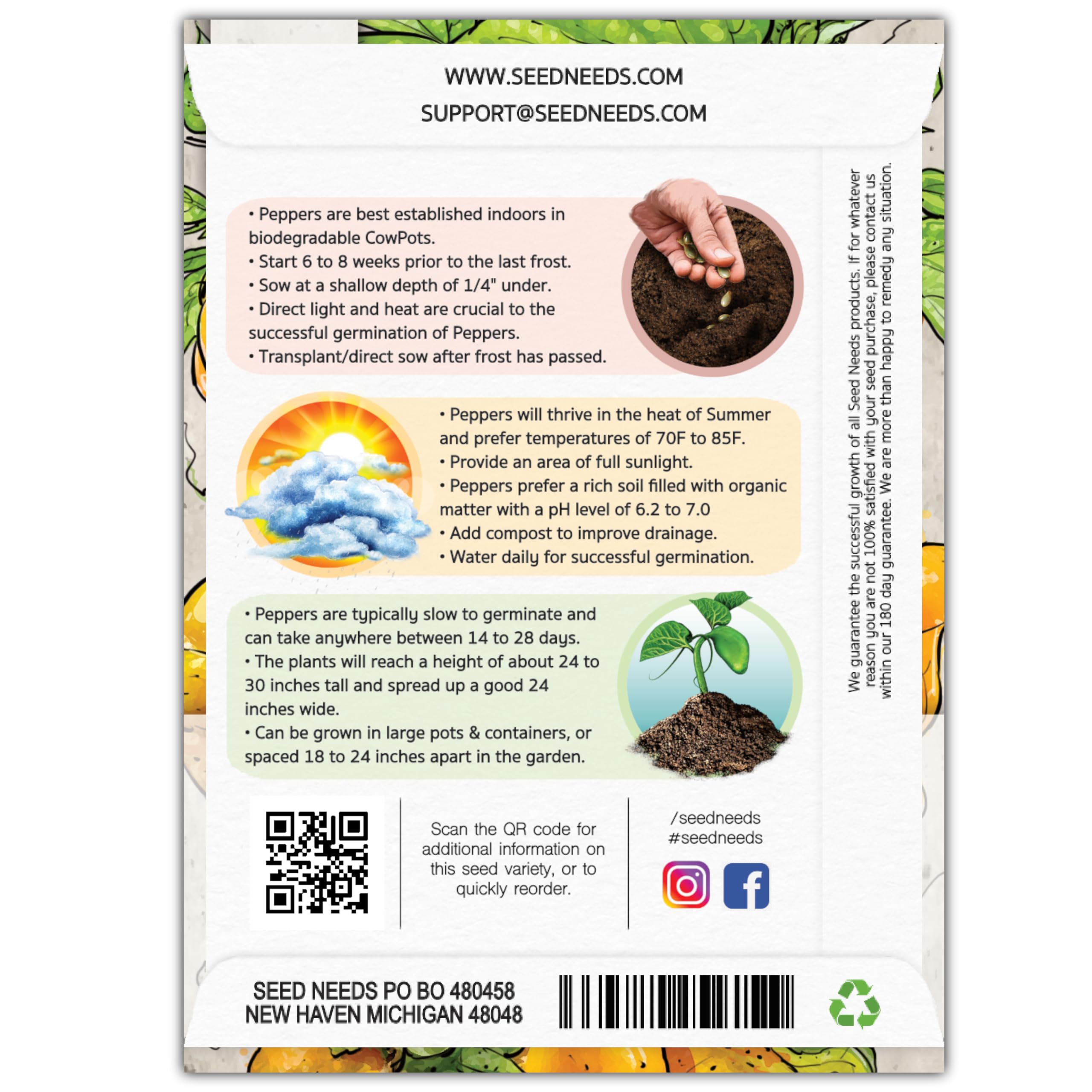 Seed Needs Jamaican Yellow Chili seeds packet back with sowing guidance