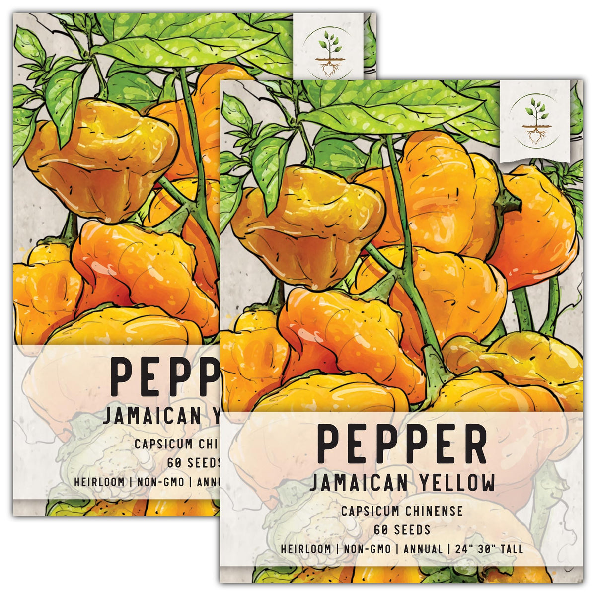 Seed Needs Jamaican Yellow Chili seeds packet front for planning your home garden