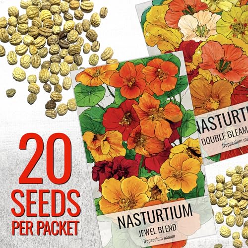 Seed Needs Jewel Blend nasturtium leaves add peppery flavor to salads