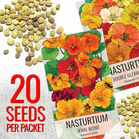 Seed Needs Jewel Blend nasturtium leaves add peppery flavor to salads