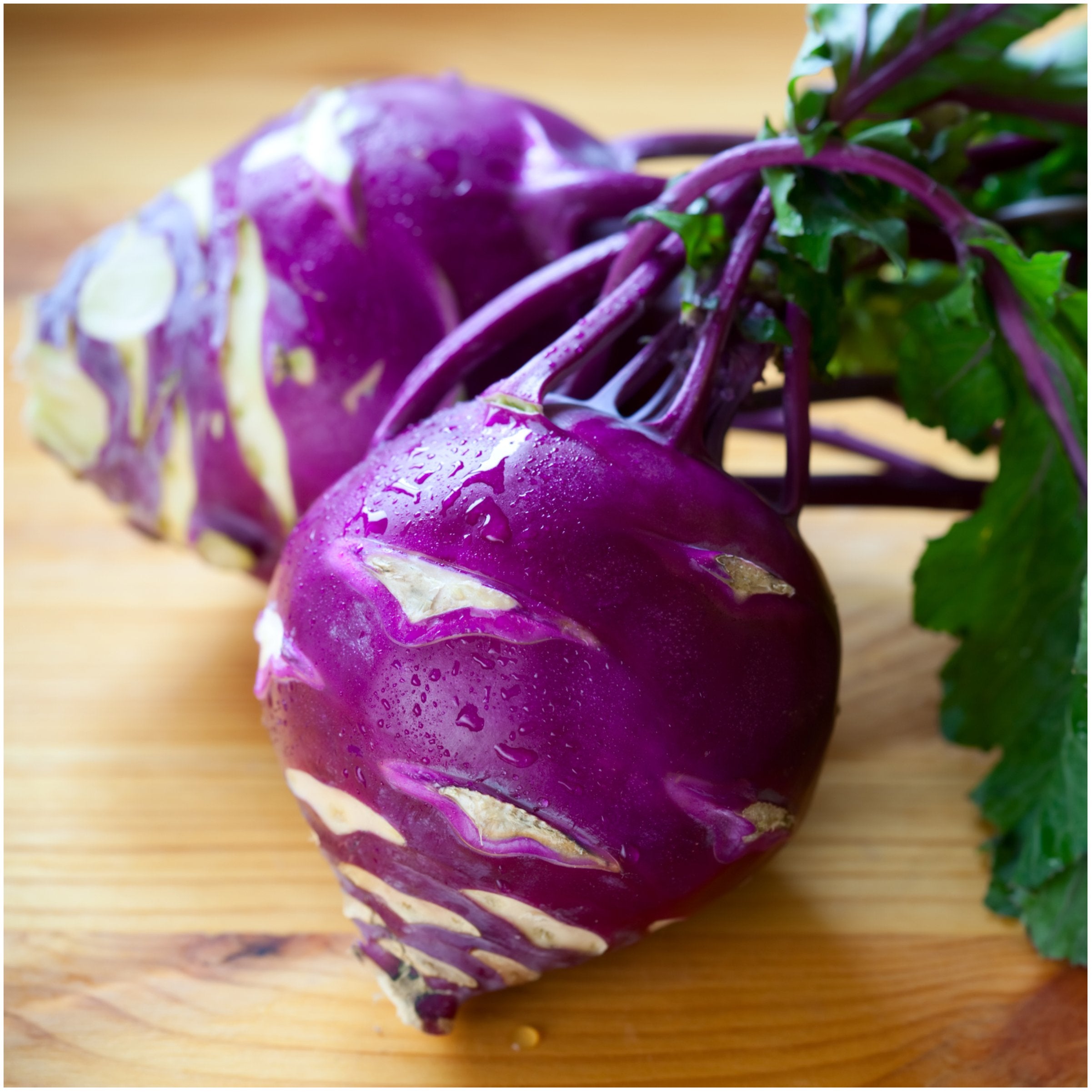 Seed Needs Kohlrabi harvest-ready bulbs offer fresh crunch in about 55 days