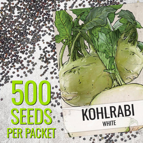 Seed Needs Kohlrabi seed packet art highlighting heirloom quality and care