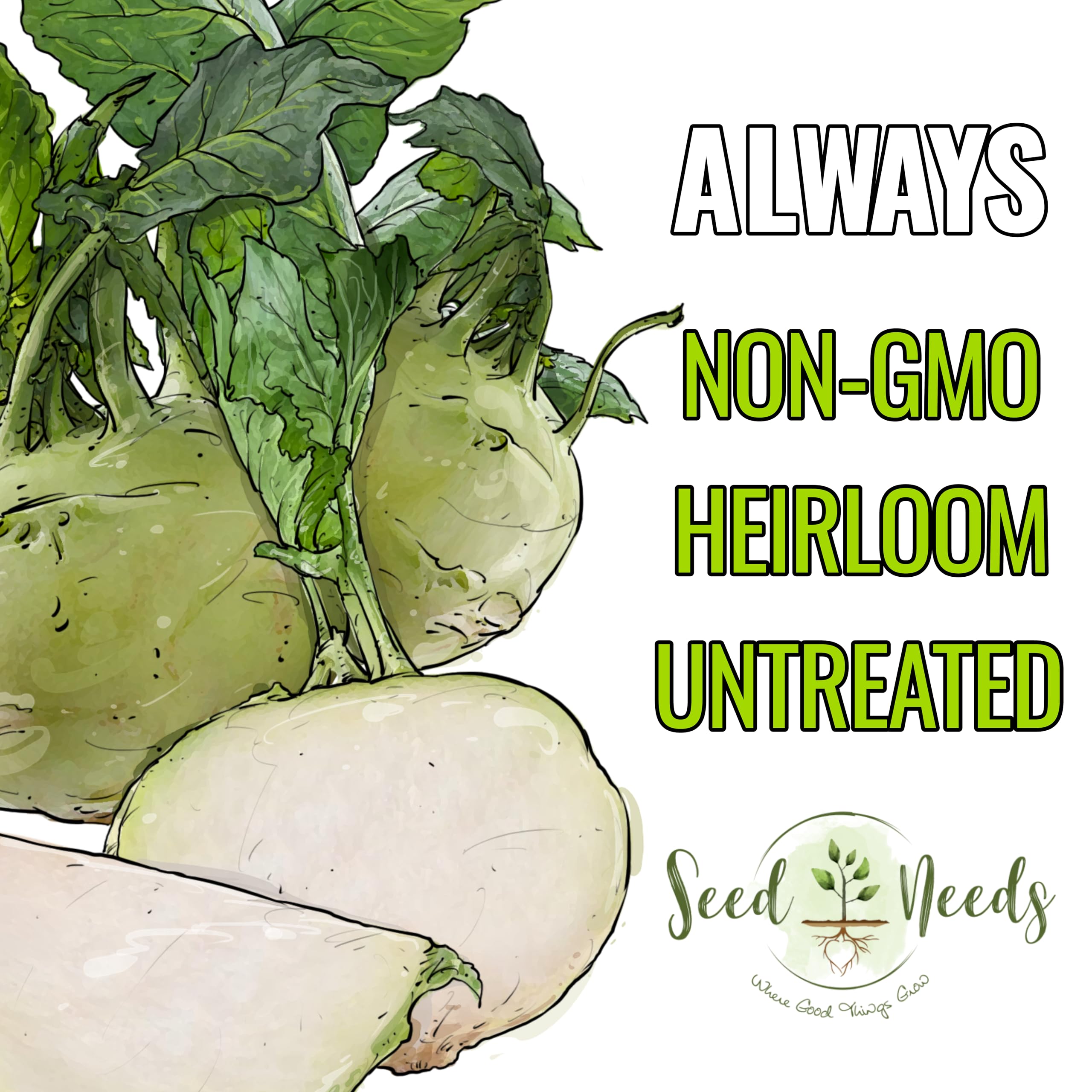 Seed Needs Kohlrabi raw bulb ideal for salads and slaws
