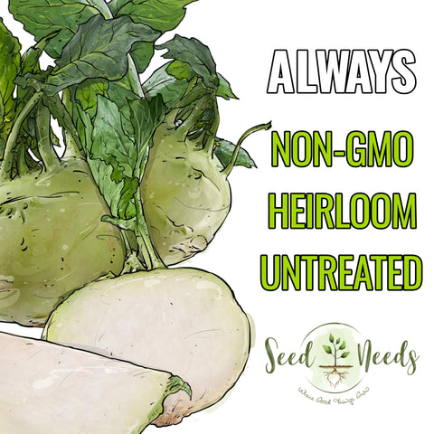 Seed Needs Kohlrabi raw bulb ideal for salads and slaws
