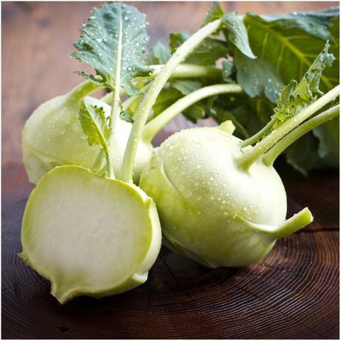 Seed Needs Kohlrabi White back sowing info aids germination and success