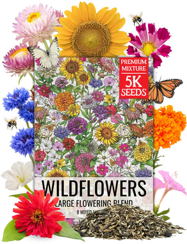 Seed Needs large blooms mix packets showing colorful wildflowers for a pollinator-friendly garden