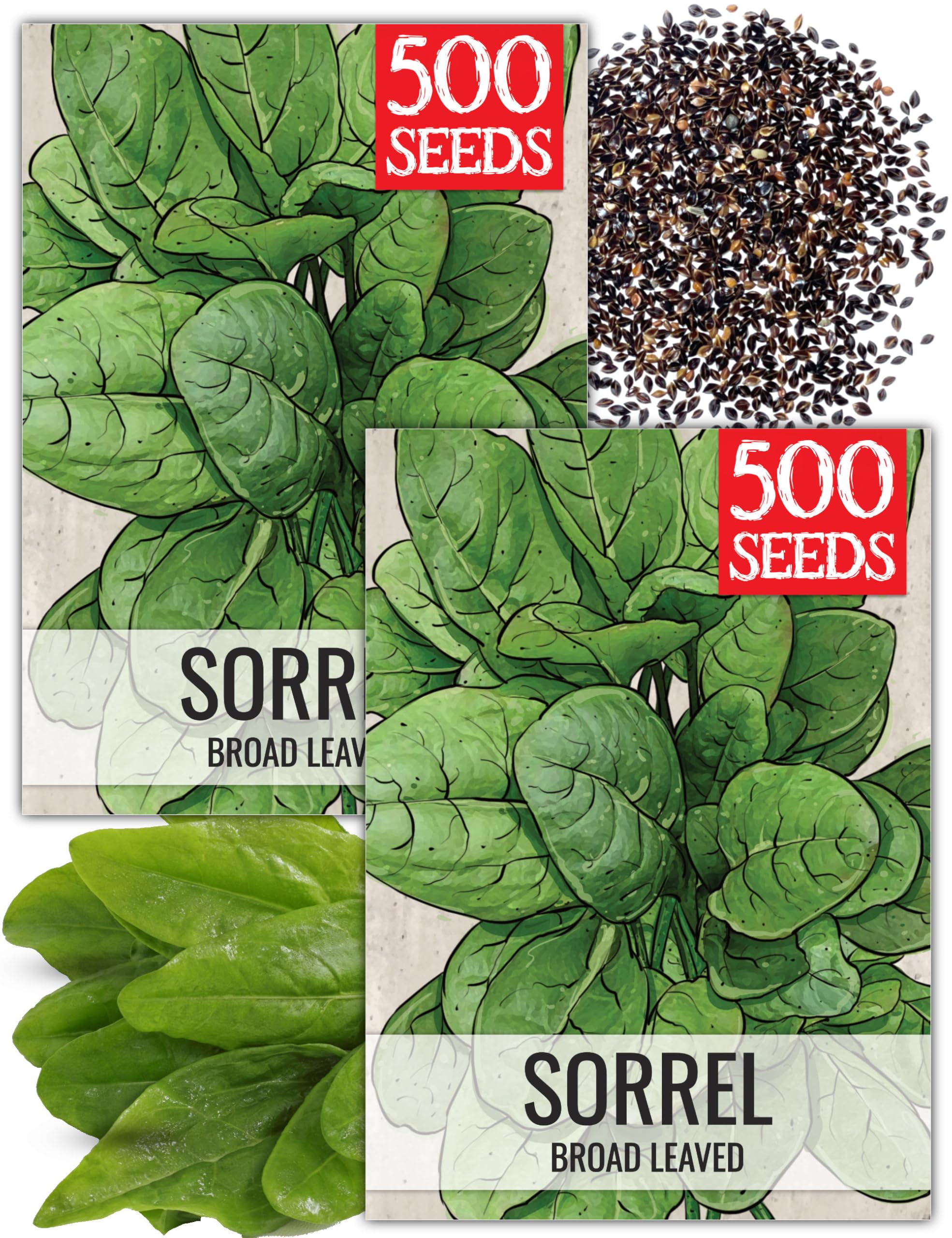 Seed Needs large leaf sorrel seed packet illustration, ideal for fresh home salads