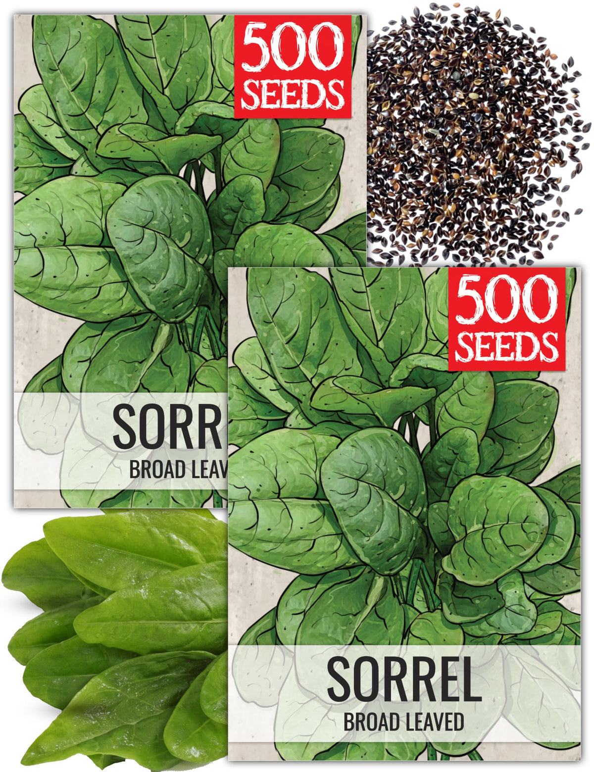 Seed Needs large leaf sorrel seed packet illustration, ideal for fresh home salads
