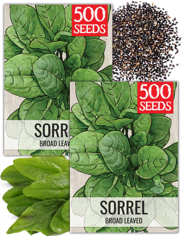 Seed Needs large leaf sorrel seed packet illustration, ideal for fresh home salads