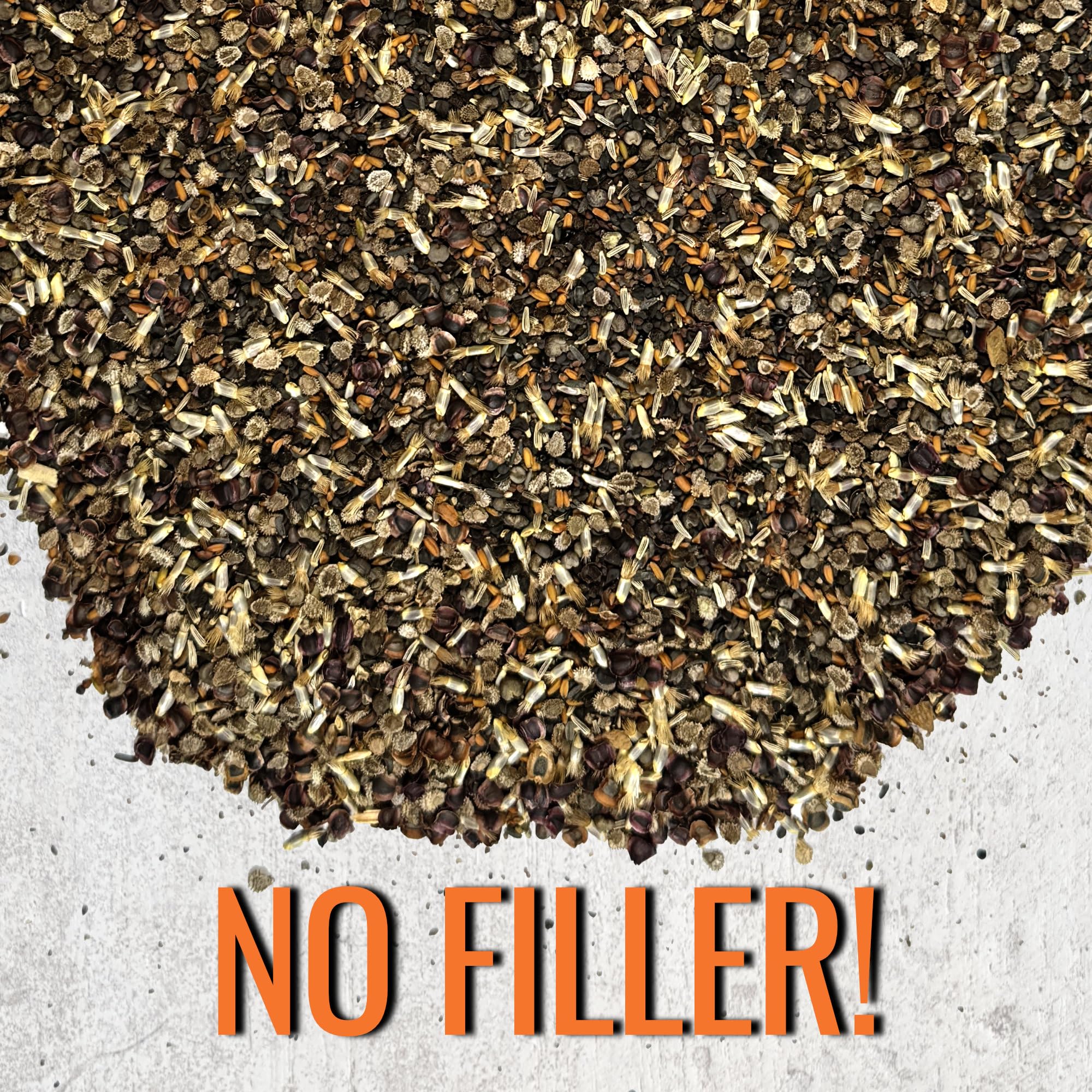 Seed Needs large-quantity seeds support community gardens and sharing