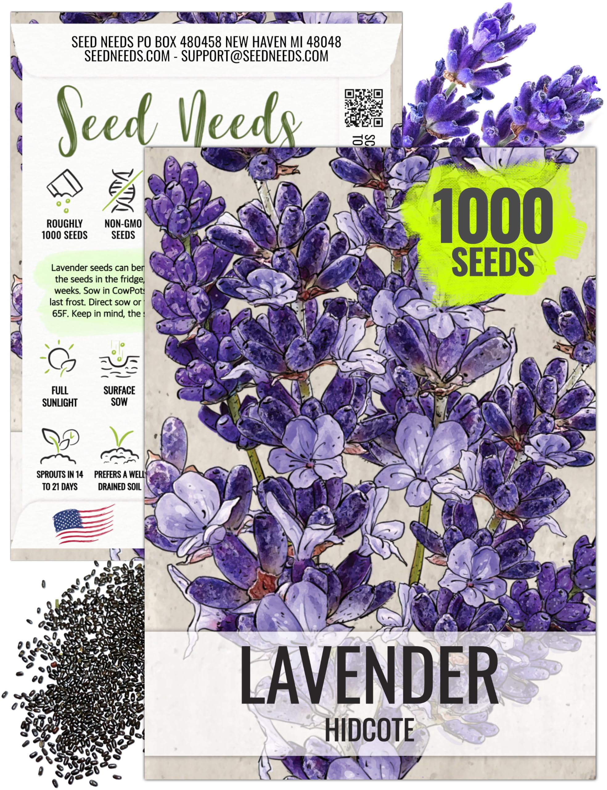 Seed Needs Hidcote lavender bloom close-up showing fragrant purple spikes for borders.