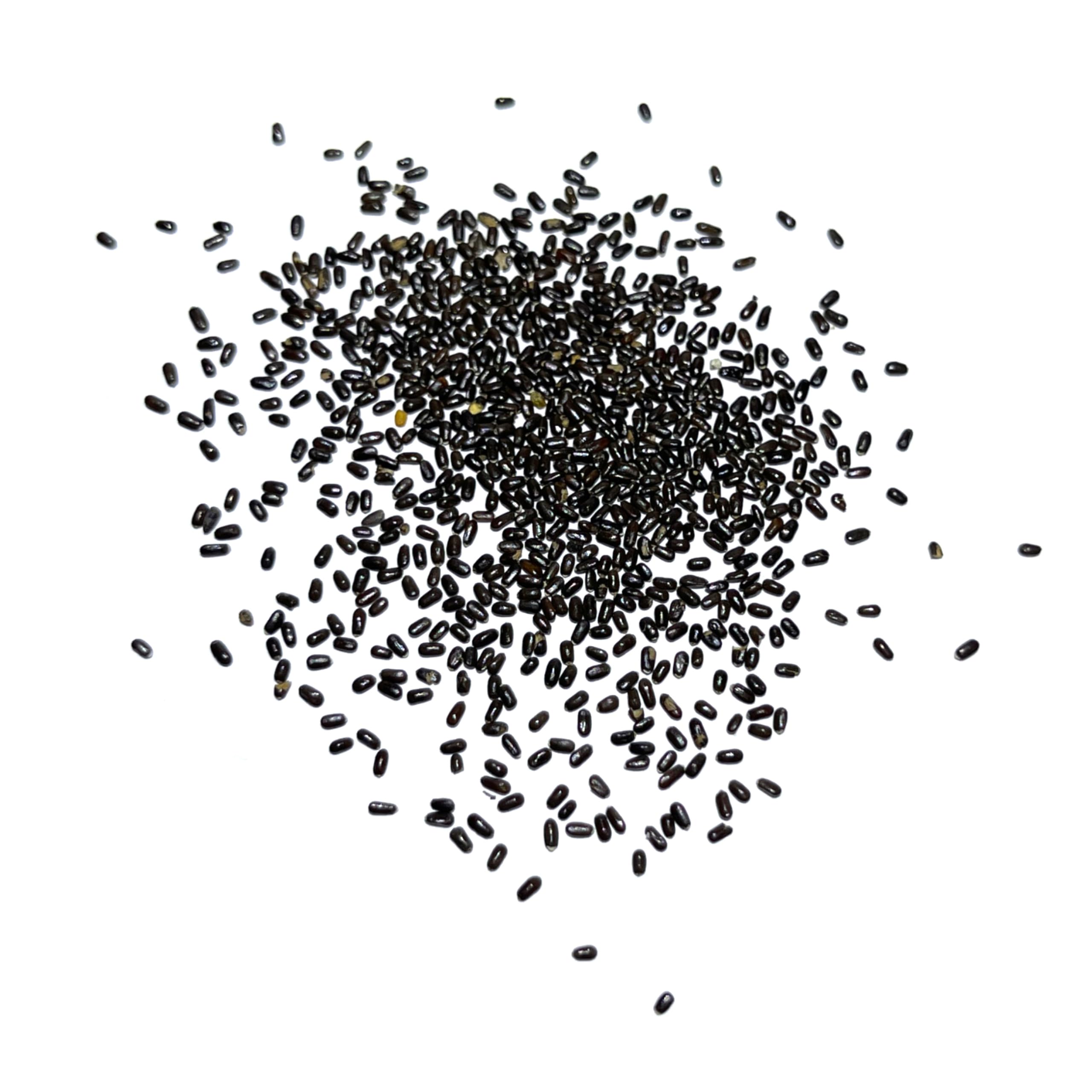 Seed Needs Hidcote lavender seeds offer open-pollinated viability for home growers.