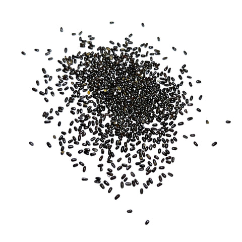 Seed Needs Hidcote lavender seeds offer open-pollinated viability for home growers.