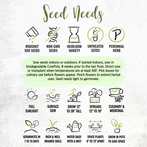 Seed Needs lemon balm seed packets with clear sowing instructions