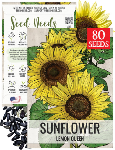 Seed Needs Lemon Queen sunflower seed packet with illustration for home planting and bright border plantings.