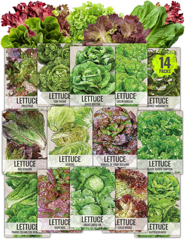 Seed Needs lettuce seed packets close-up showing variety labels for easy planning.