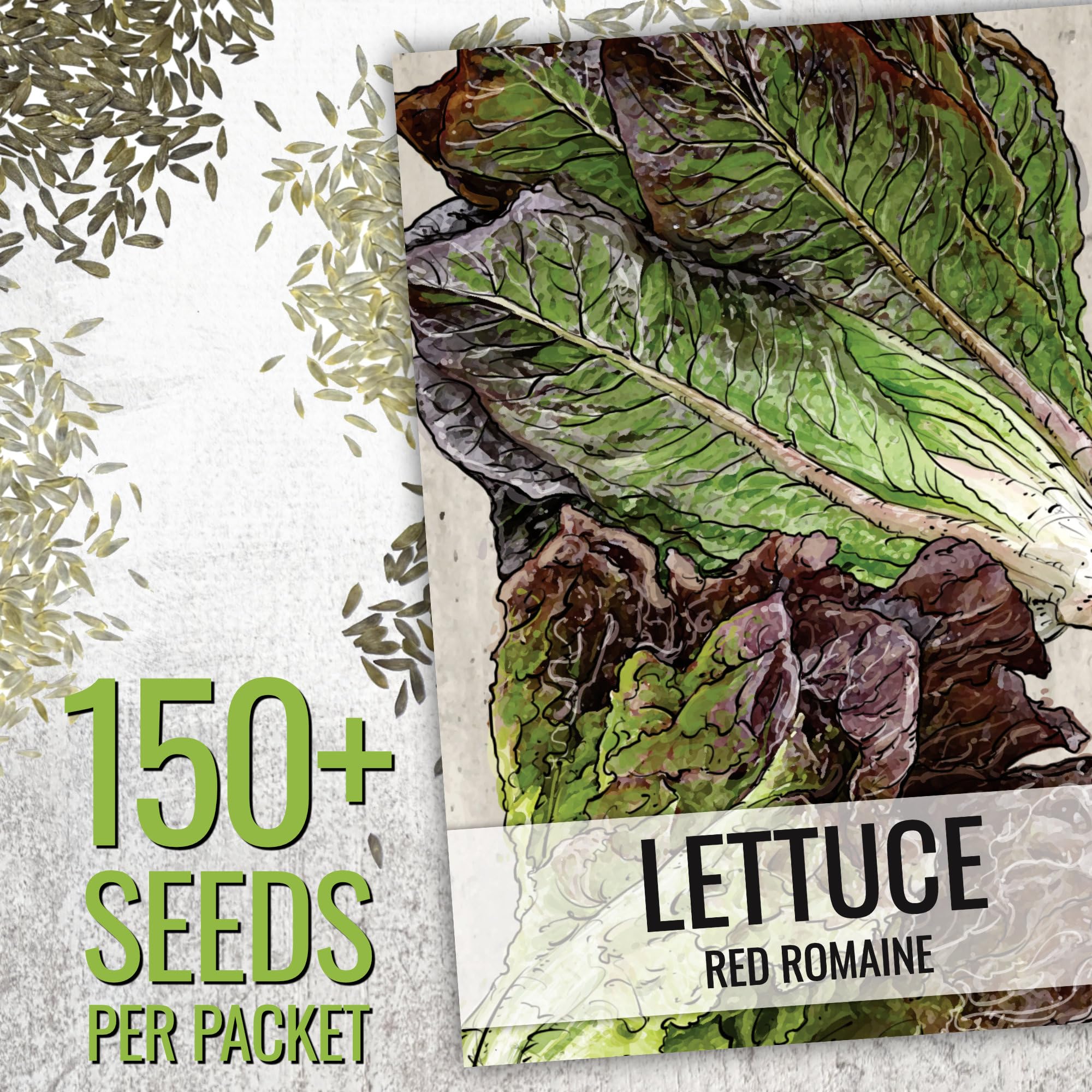 Seed Needs lettuce varieties display highlighting diverse flavors and colors for home growers.
