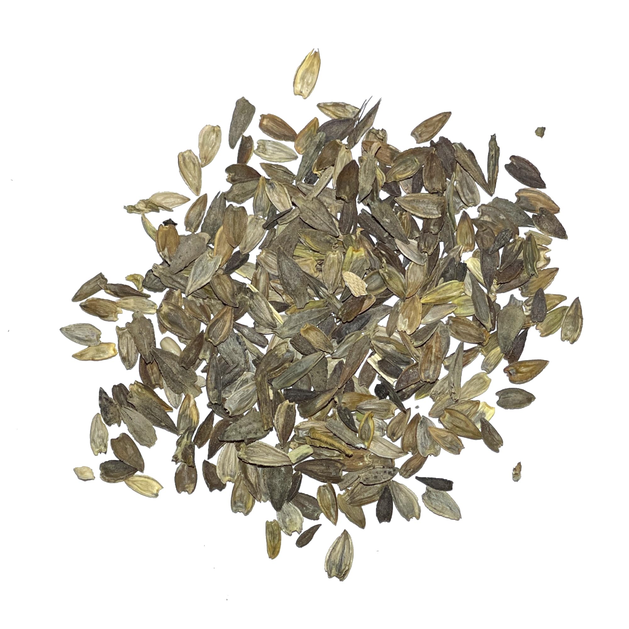 Seed Needs Lime Green Envy zinnia close-up of chartreuse petals