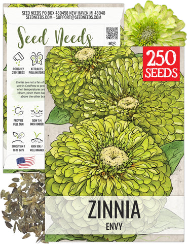 Seed Needs Lime Green Envy zinnia seed pack front view for striking border color