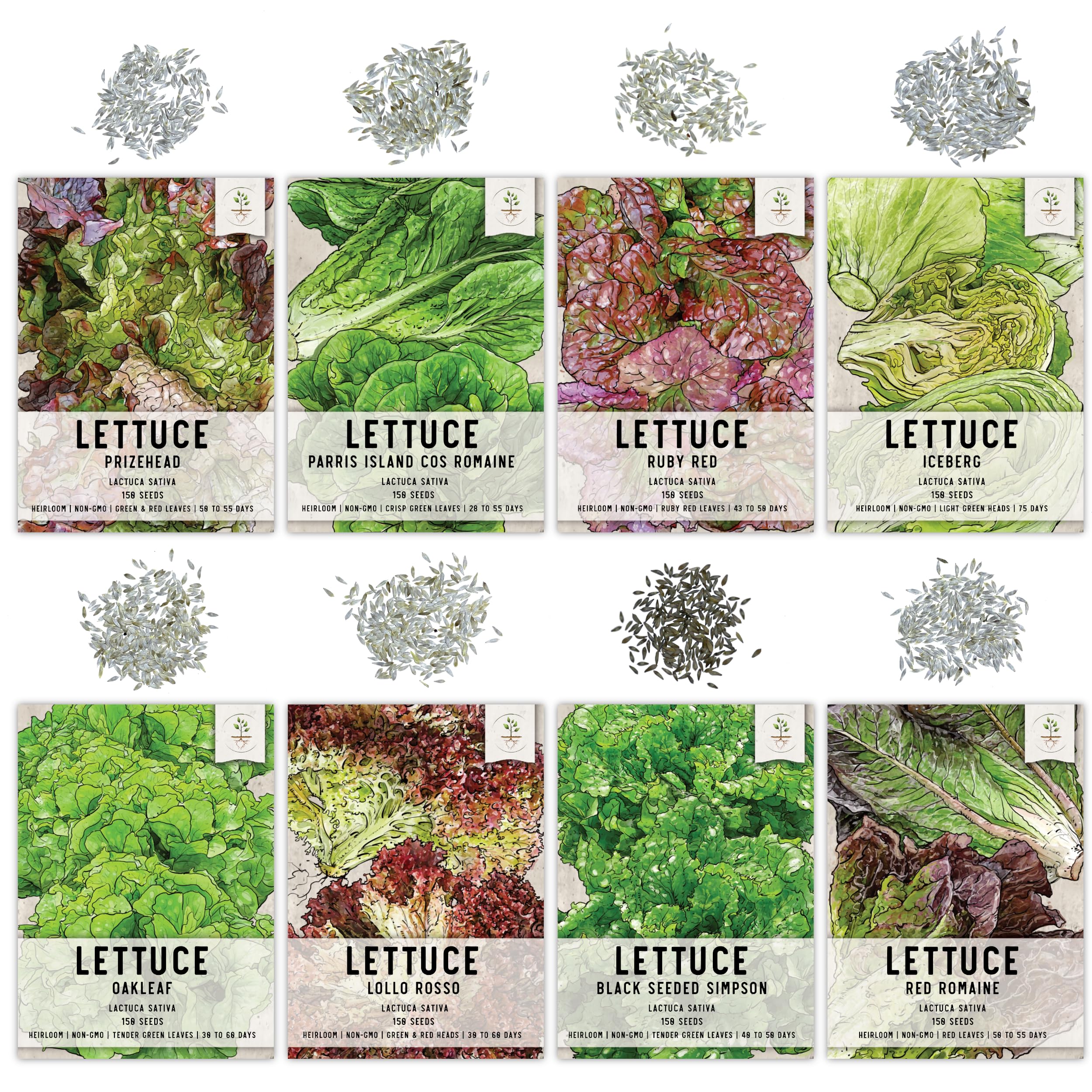 Seed Needs Lollo Rosso seeds – colorful leaves add visual appeal to salads.