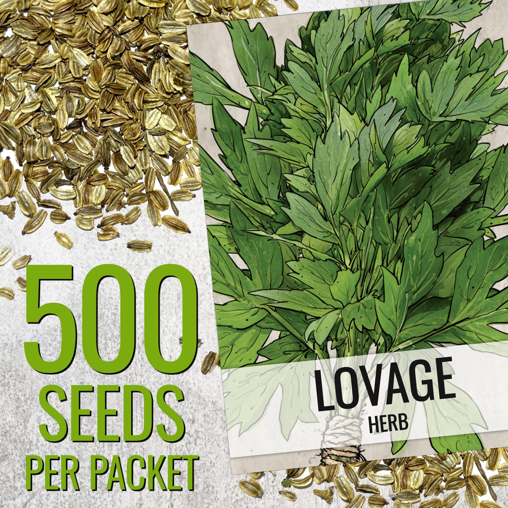 Seed Needs Lovage leaves close-up highlighting fresh culinary use.