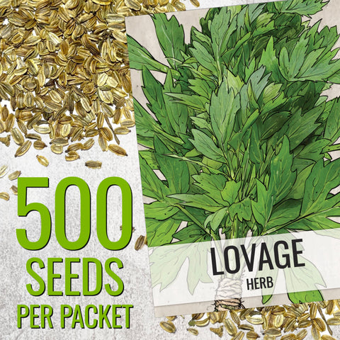 Seed Needs Lovage leaves close-up highlighting fresh culinary use.