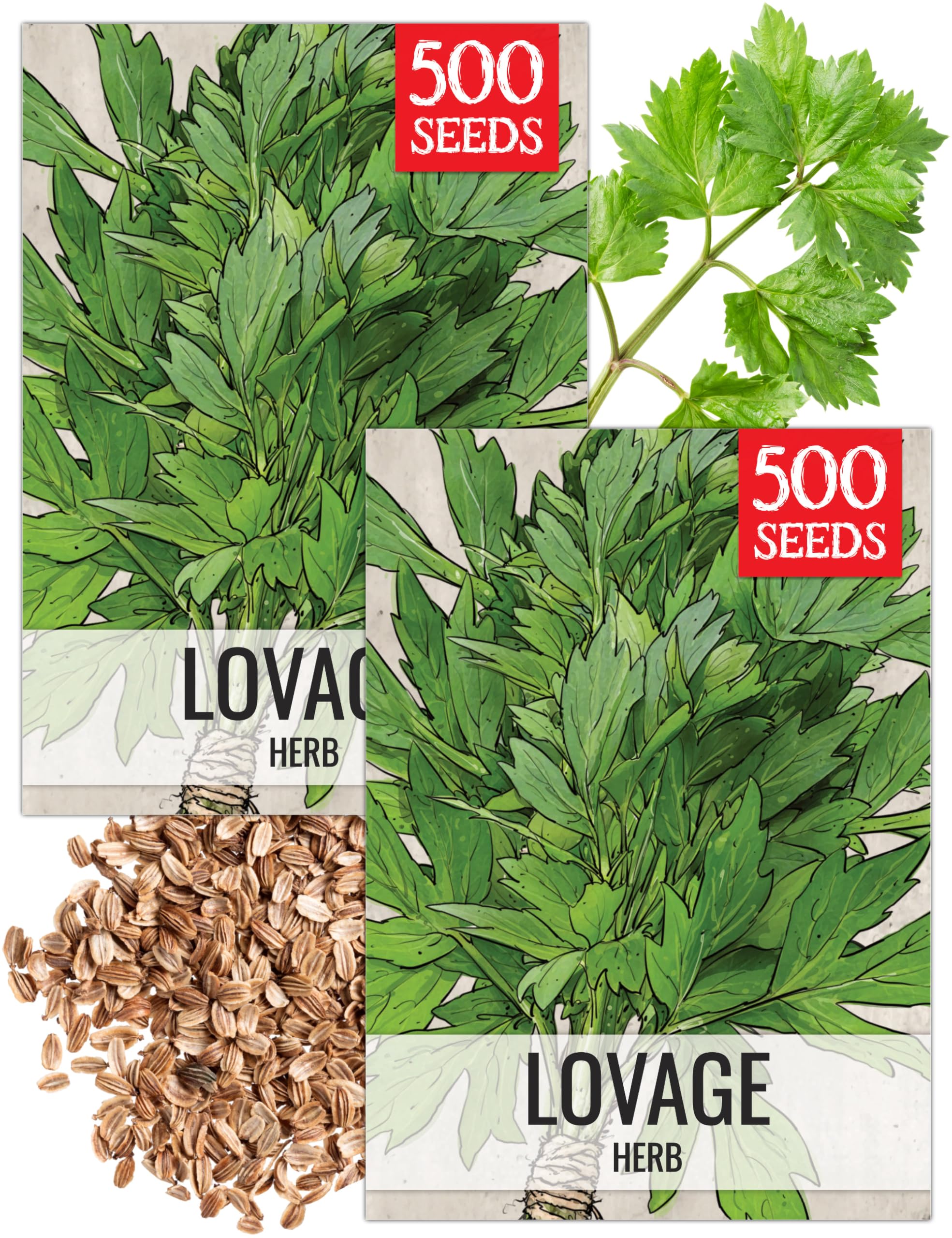 Seed Needs Lovage seeds packet front for easy home herb gardening.