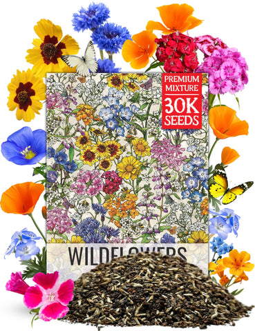Seed Needs low-growing wildflower seed packaging ready for easy spring planting