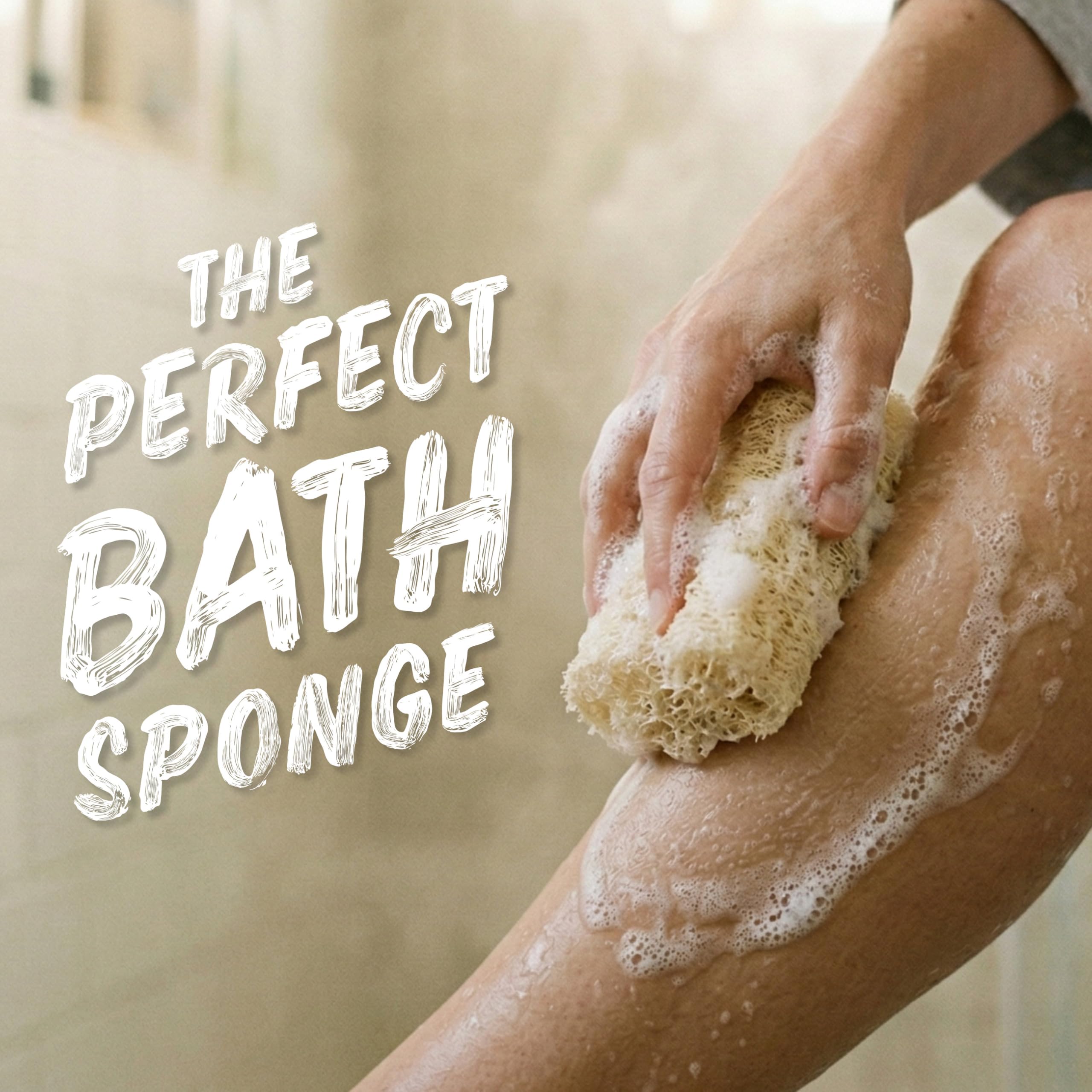 Seed Needs Luffa garden to kitchen versatility in everyday use.