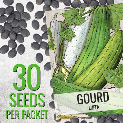 Seed Needs luffa gourd vine growing up trellis shows vigorous growth.