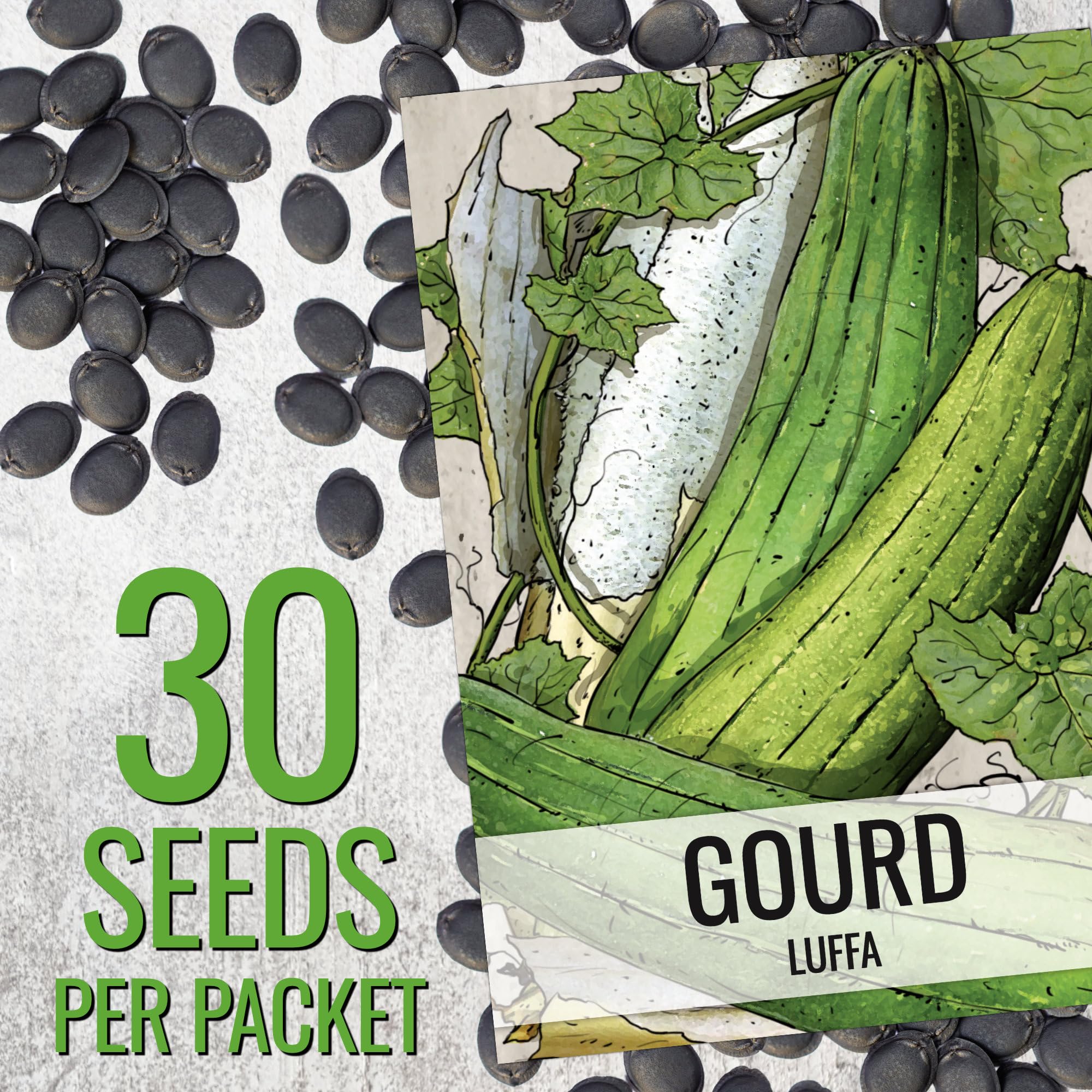 Seed Needs Luffa gourds on a vigorous vine ready for trellising.