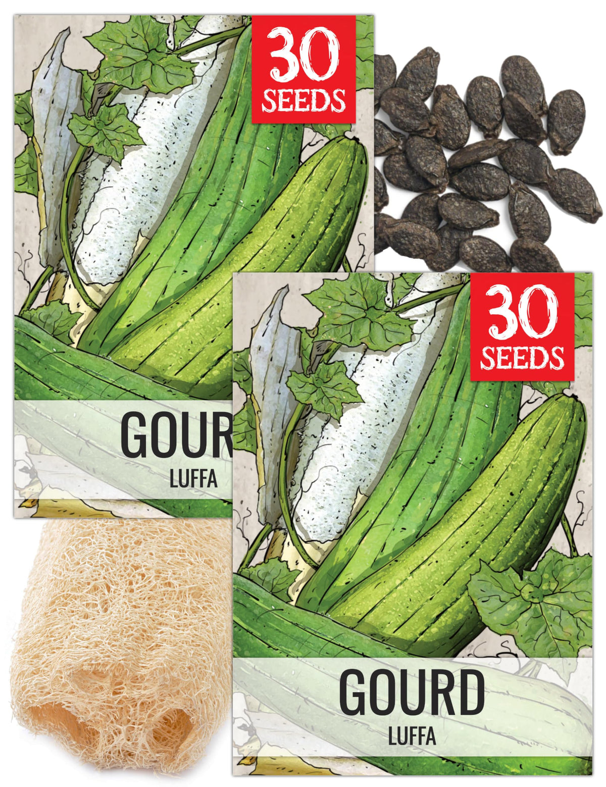 Seed Needs luffa seed packaging front with easy planting guidance.