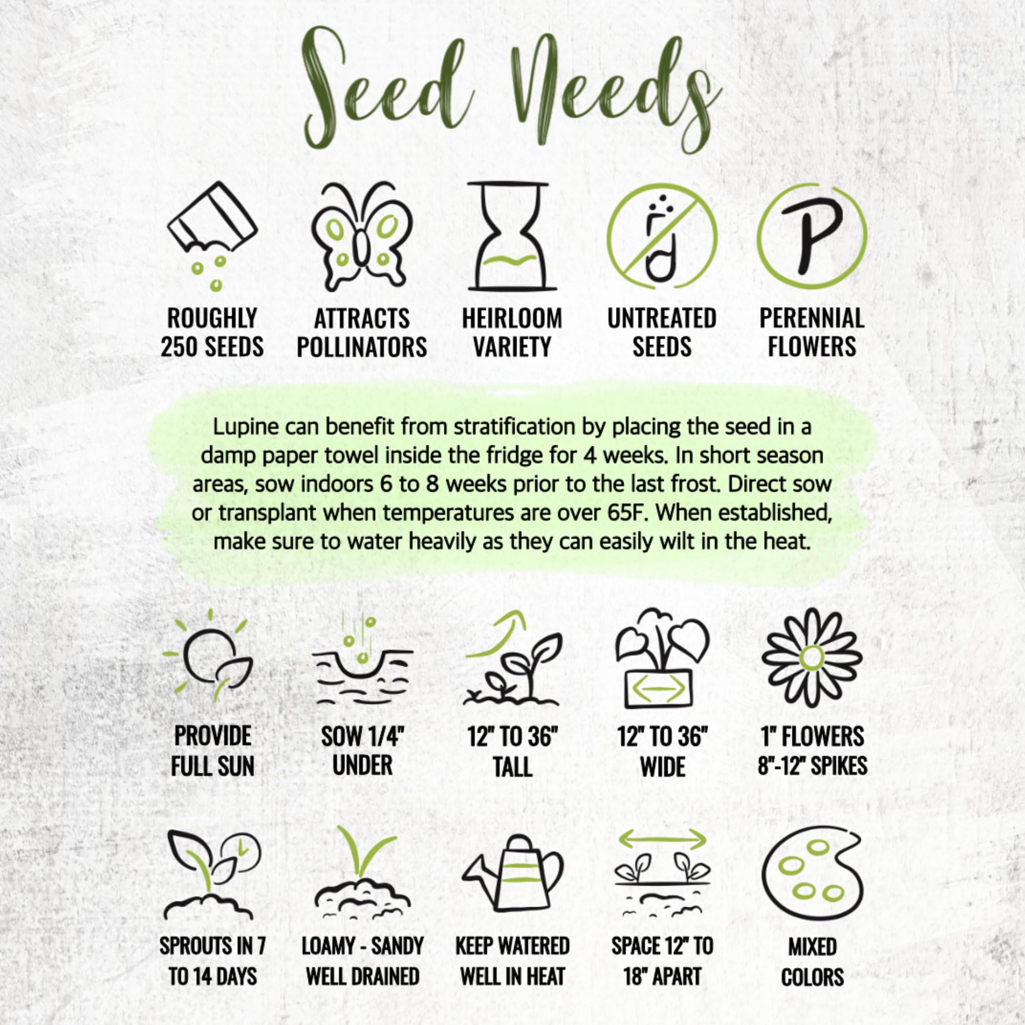 Seed Needs Lupine Russells Blend seeds arrive direct from growers with fresh viability and sowing tips.