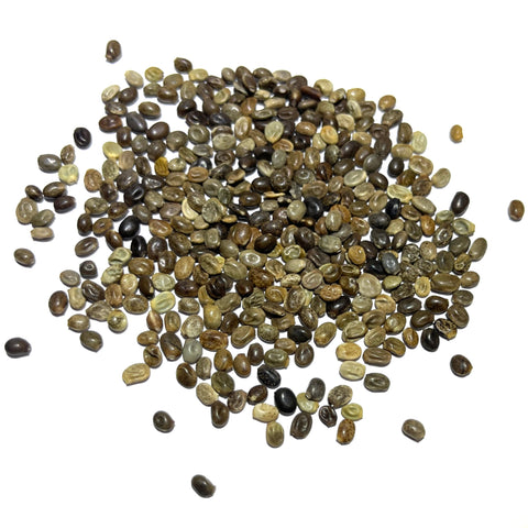 Seed Needs lupine seeds arrive in tear and moisture resistant packaging.
