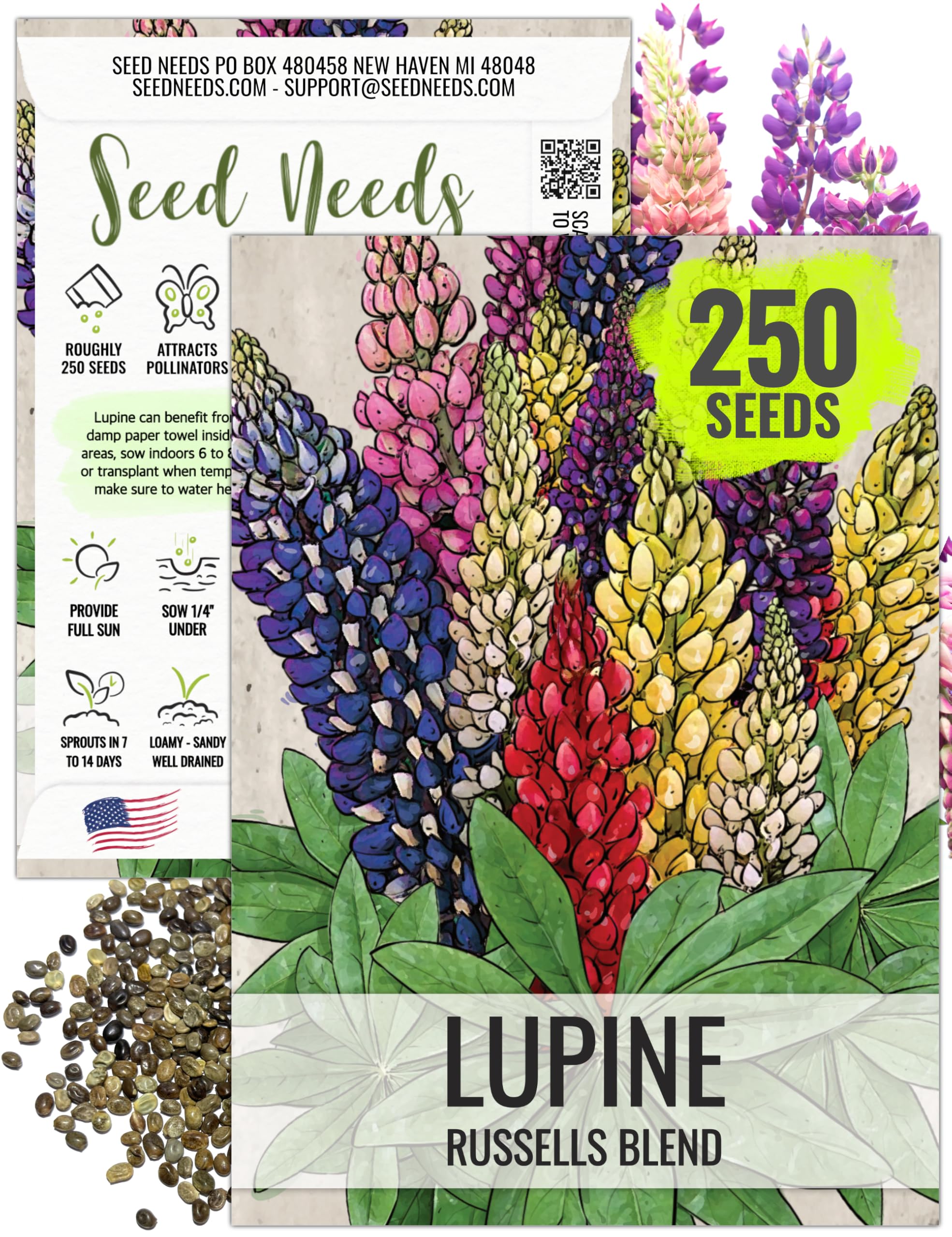 Seed Needs Lupine Russells Blend seed packet ready for sowing to create vibrant border color.
