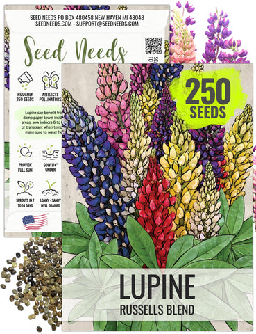 Seed Needs Lupine Russells Blend seed packet ready for sowing to create vibrant border color.