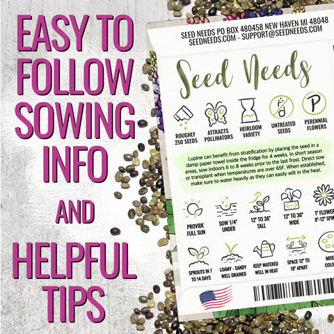 Seed Needs Lupine Russells Blend features tall spikes up to three feet.