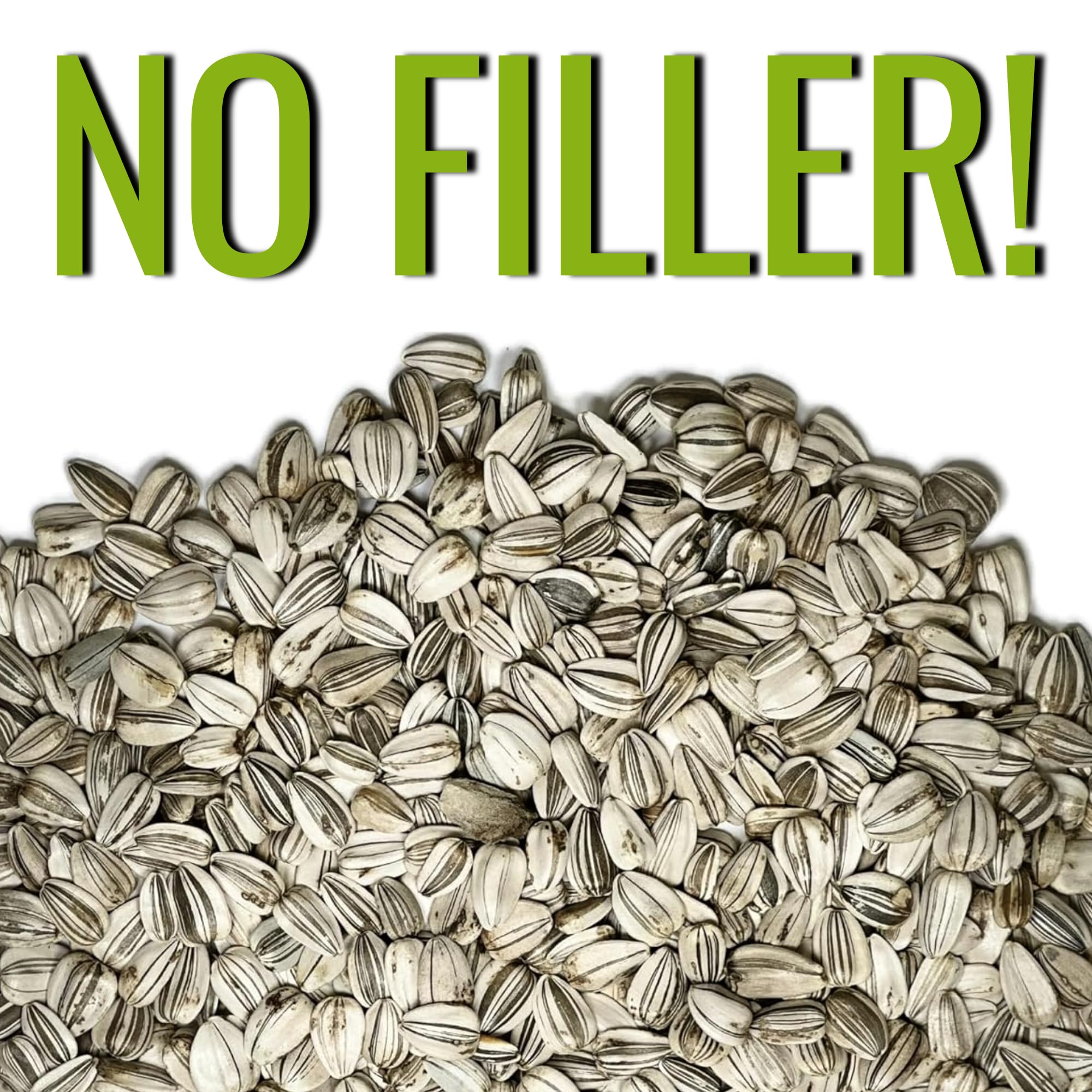 Open-pollinated, non-GMO Mammoth Grey Stripe as an heirloom Seed Needs variety.