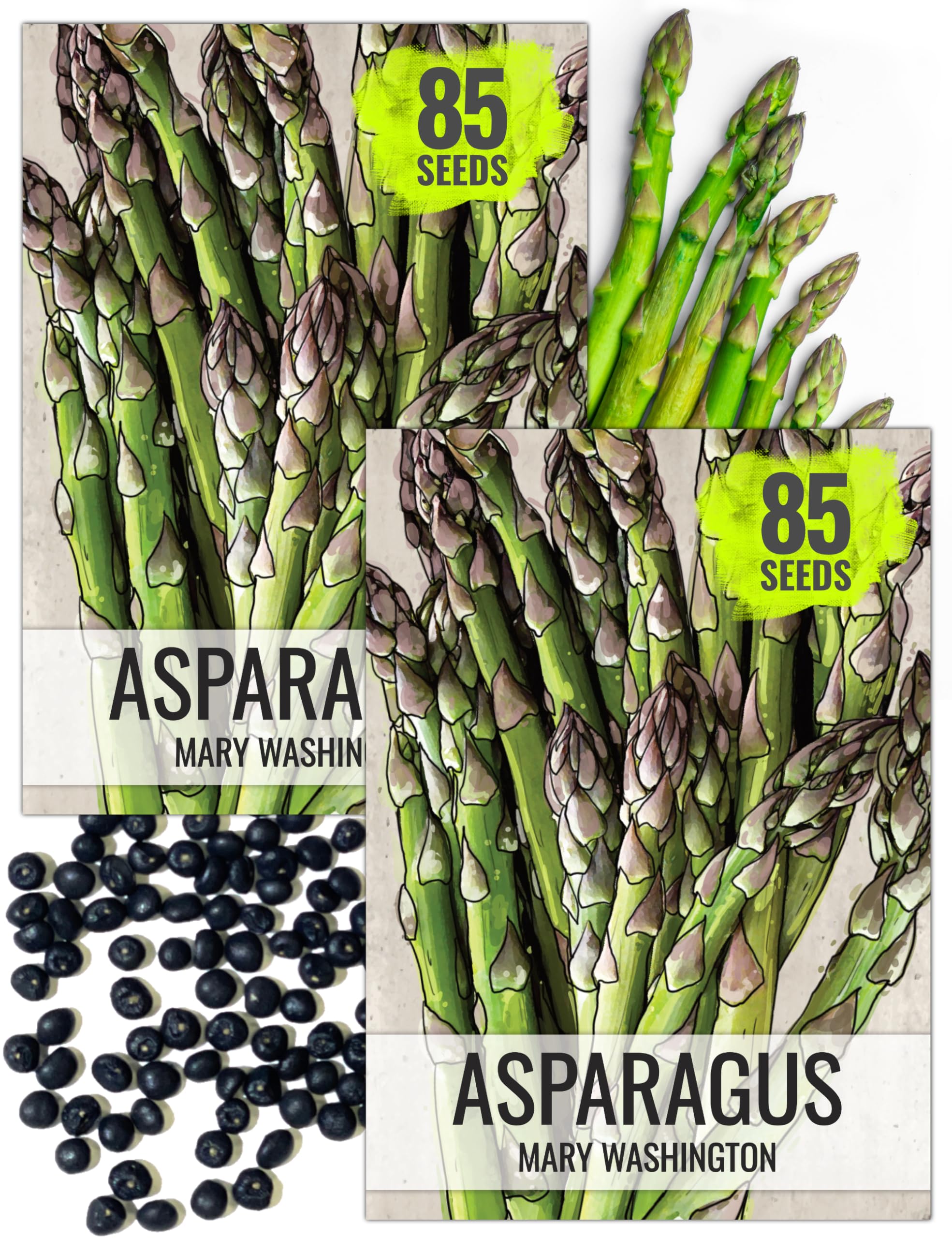 Seed Needs Mary Washington asparagus seeds packet illustration shows heirloom reliability for home gardens.