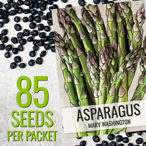 Seed Needs Mary Washington asparagus spears close-up highlights thick, tender stalks for fresh meals.