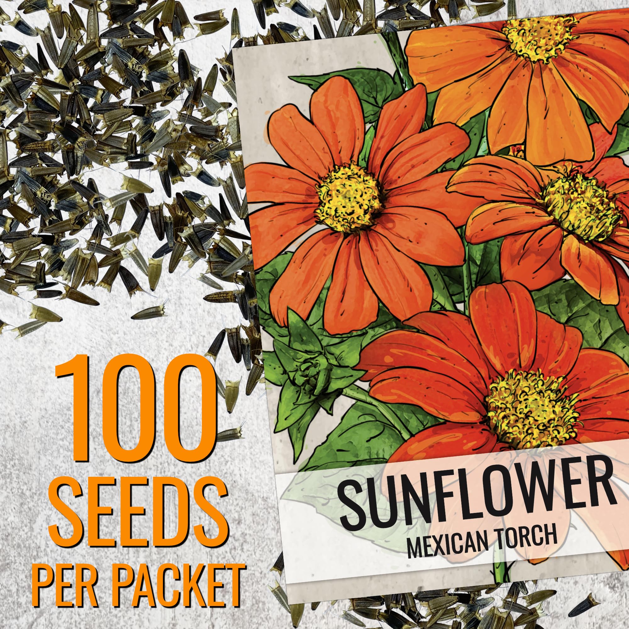 Seed Needs open-pollinated heirloom blooms provide resilient color