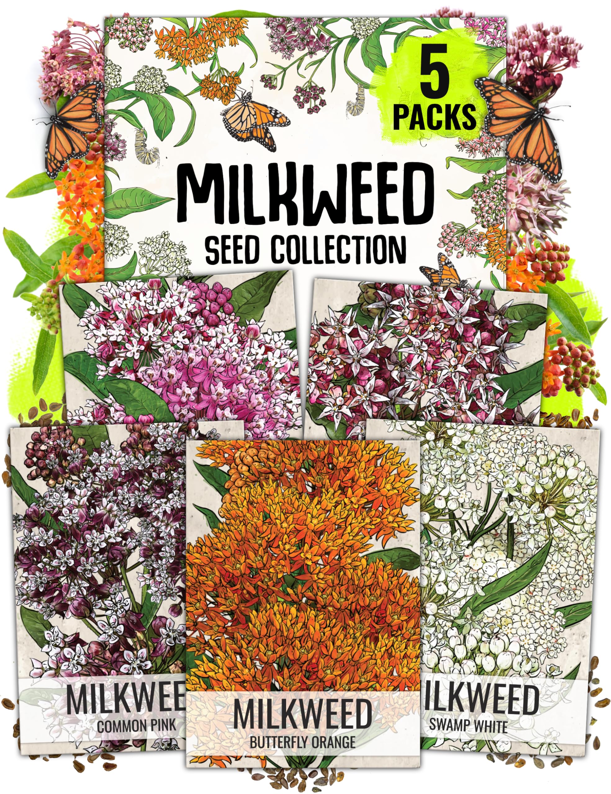 Seed Needs milkweed seeds showy packet art attracts pollinators and guides sowing.