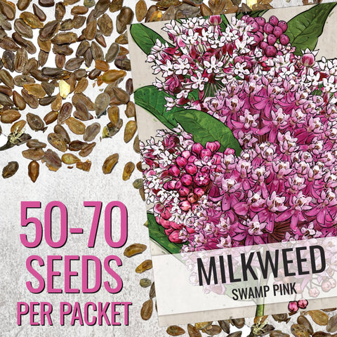Seed Needs milkweed seeds white swamp packet back with sowing tips.