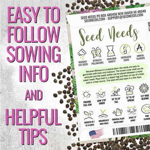 Seed Needs fernlike foliage adds a unique houseplant focal point