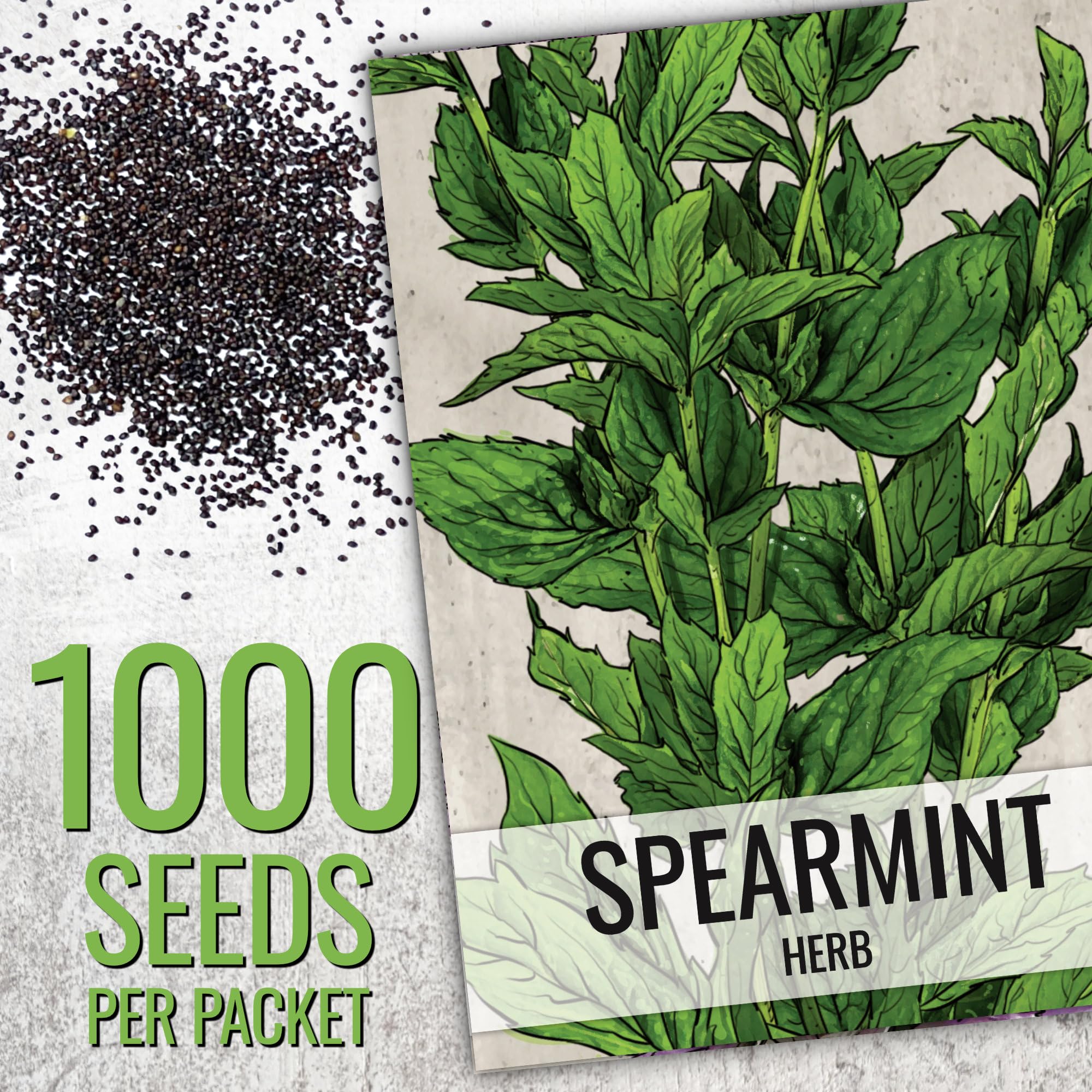Seed Needs mint seed packets artwork, transparent labeling for easy sowing and planning.
