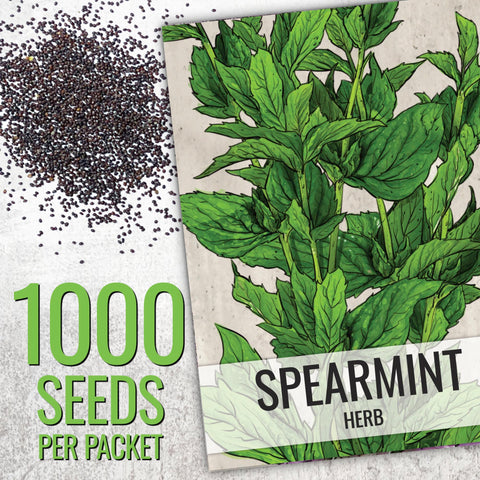 Seed Needs mint seed packets artwork, transparent labeling for easy sowing and planning.